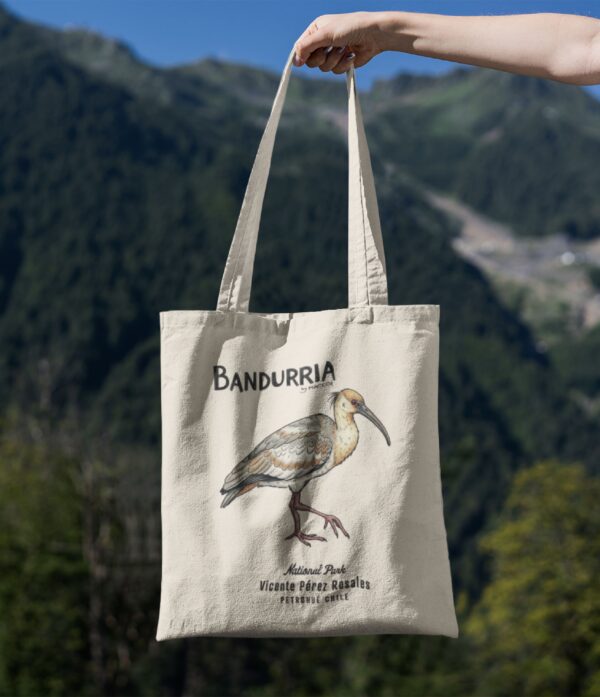 ToteBag Bandurria
