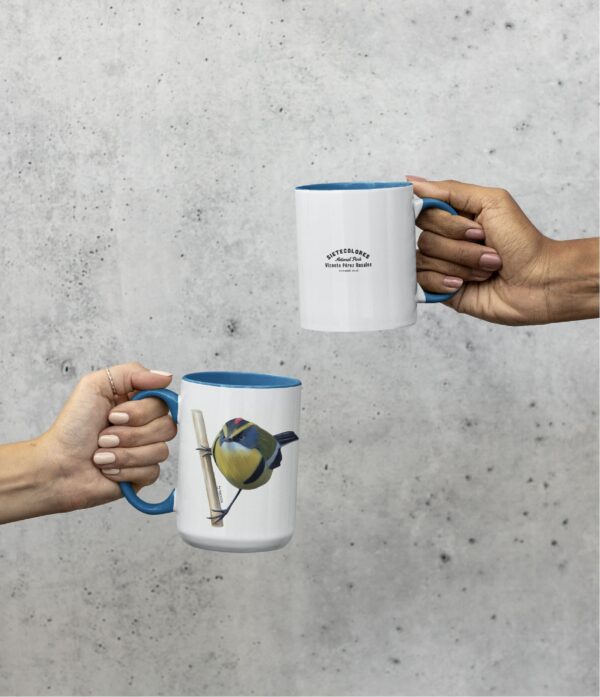 Taza Siete Colores