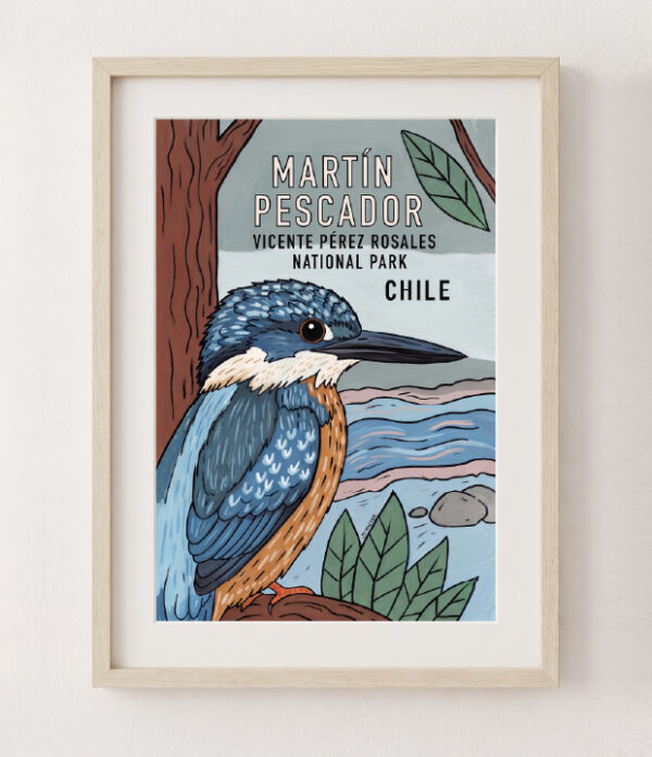 Poster-37 Póster Martín Pescador