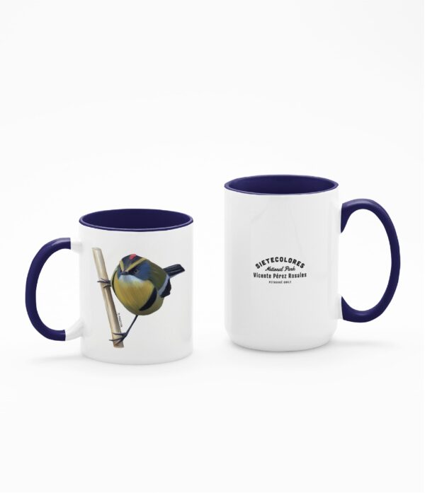 Taza Siete Colores