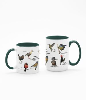 TazaA 11 15 Oz Verde Taza Aves
