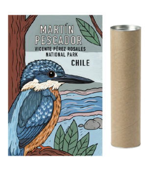 Póster Martín Pescador